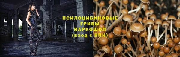 COCAINE Горно-Алтайск