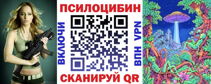 МЕГА ссылка  Дмитровск  Псилоцибиновые грибы GOLDEN TEACHER  наркошоп 