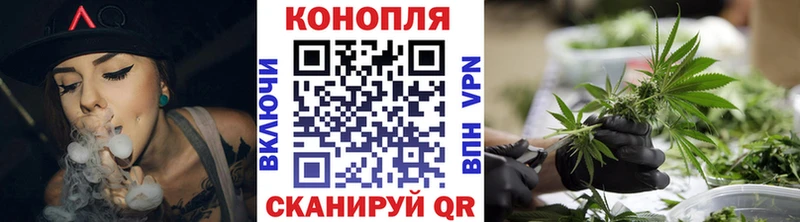 Конопля план  Дмитровск 